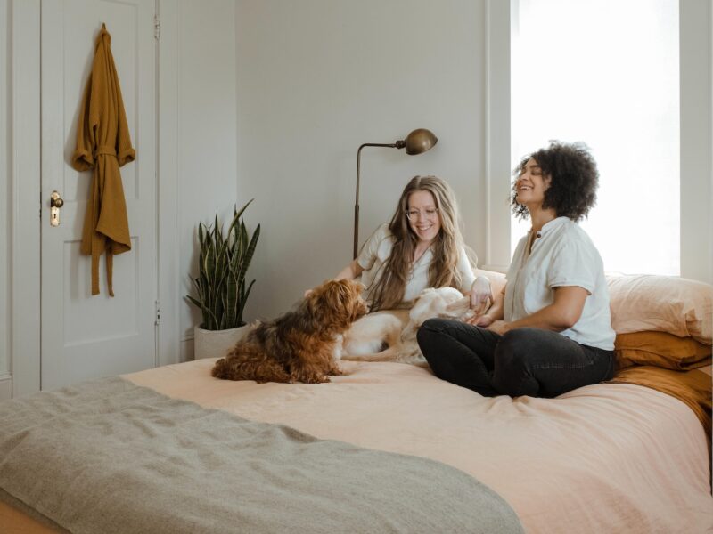 Moving with Pets